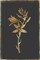 Carmass and Wild Hyacinth Poster Print by PI Collection - Item # VARPDXPZ121A